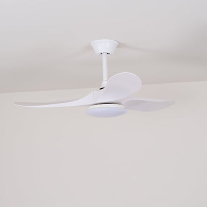 Averra Ceiling Fan Light