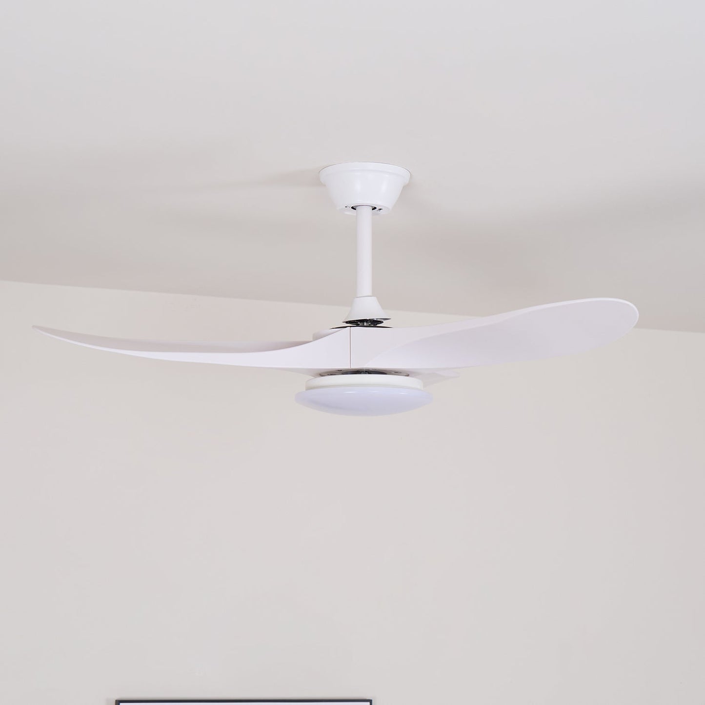 Averra Ceiling Fan Light