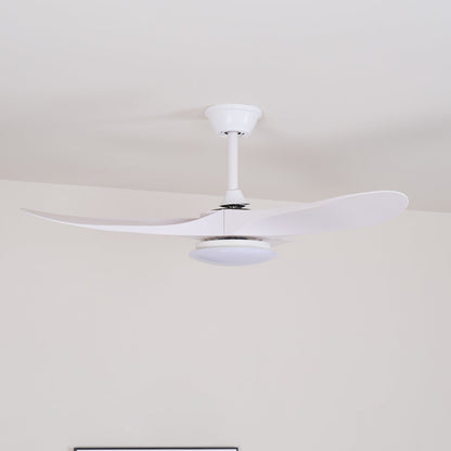 Averra Ceiling Fan Light