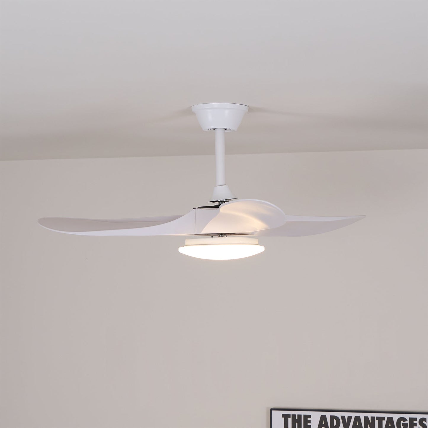 Averra Ceiling Fan Light