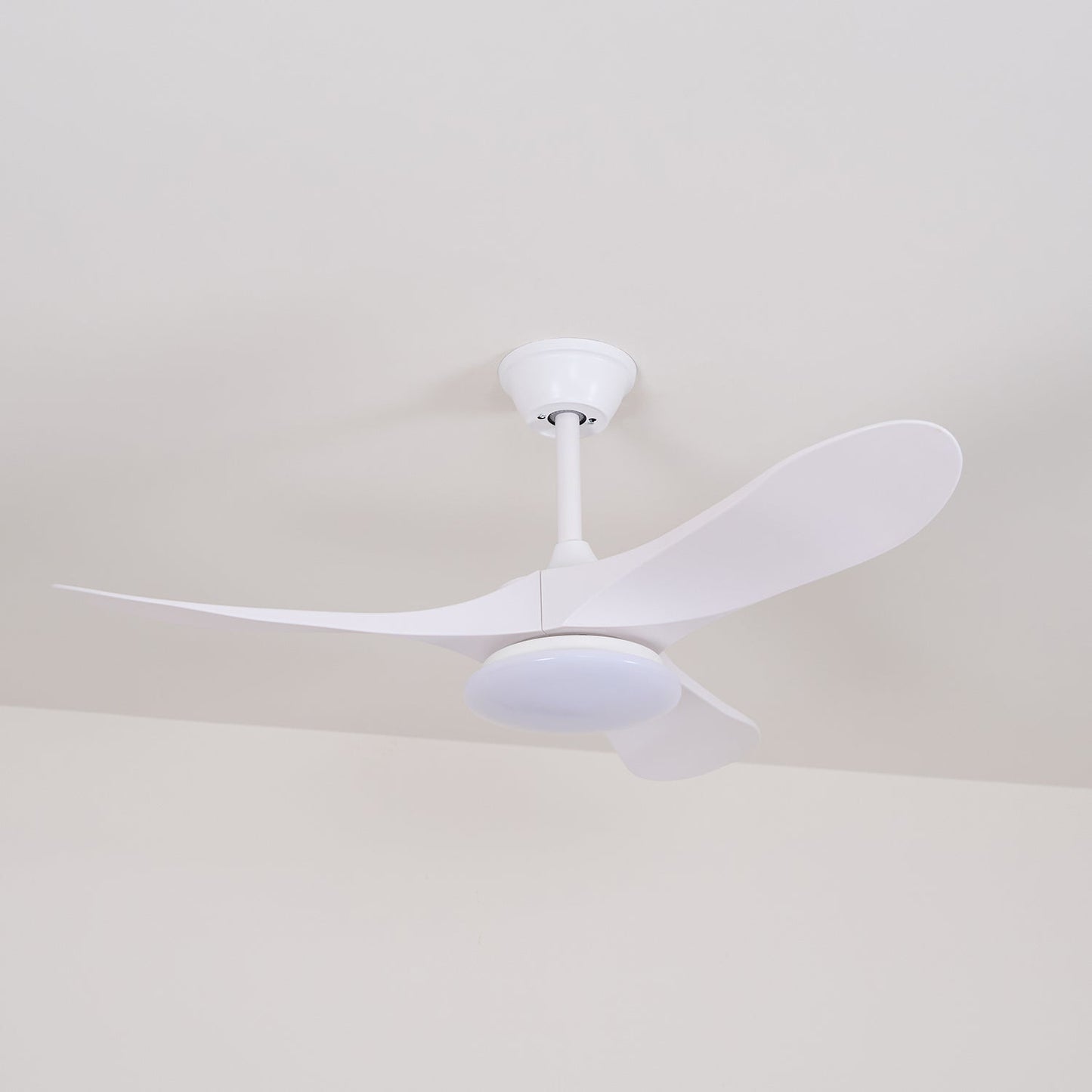 Averra Ceiling Fan Light