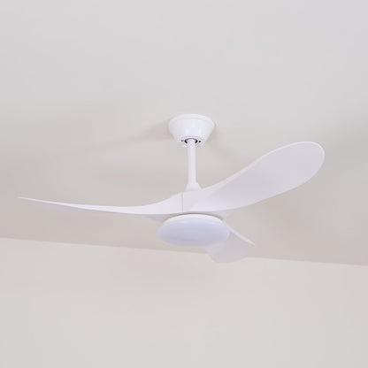 Averra Ceiling Fan Light
