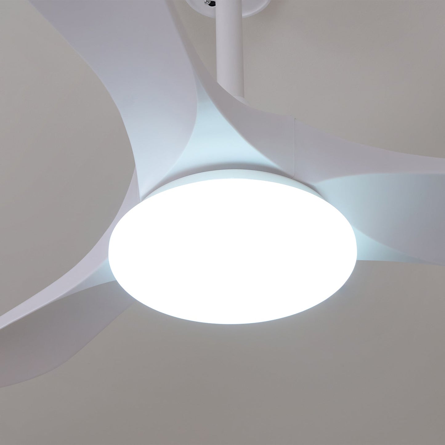 Averra Ceiling Fan Light