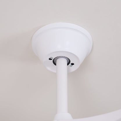 Averra Ceiling Fan Light