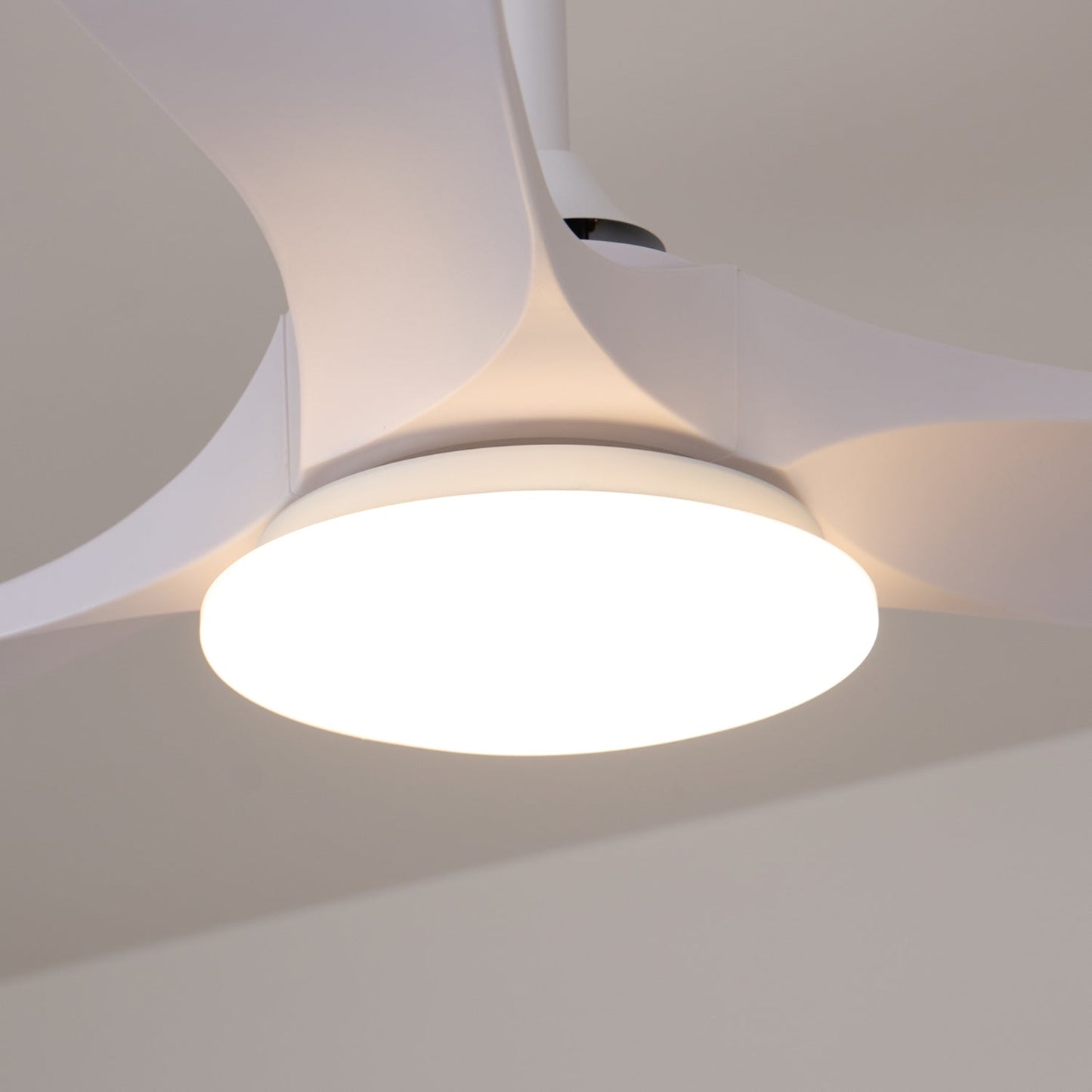 Averra Ceiling Fan Light
