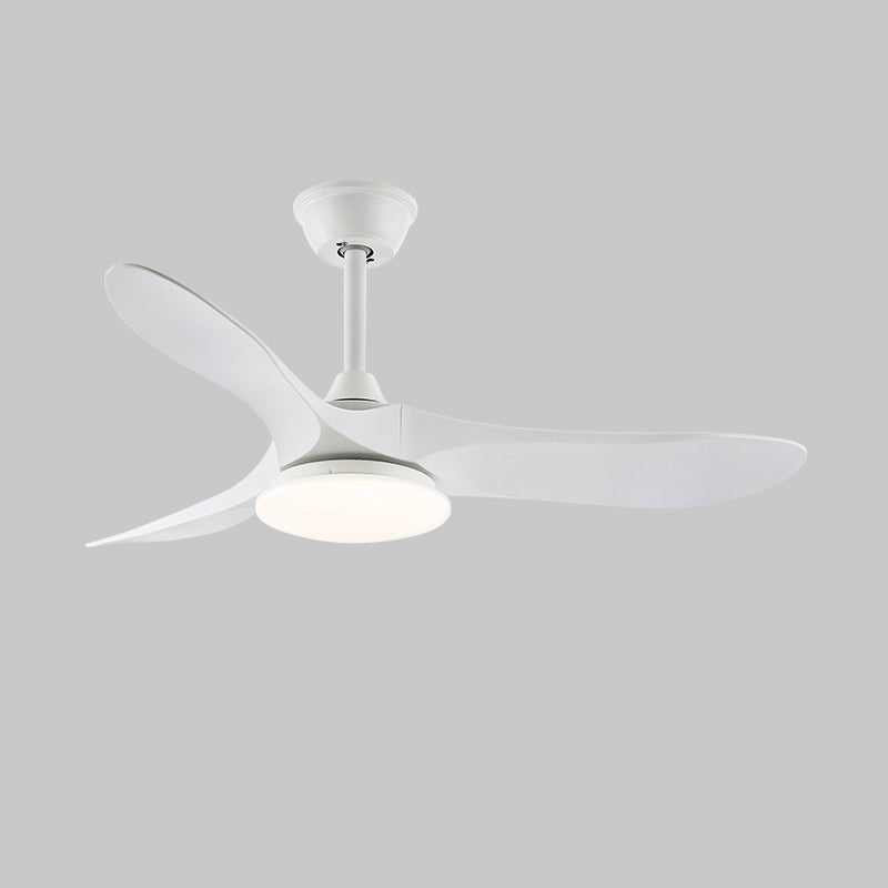 Averra Ceiling Fan Light