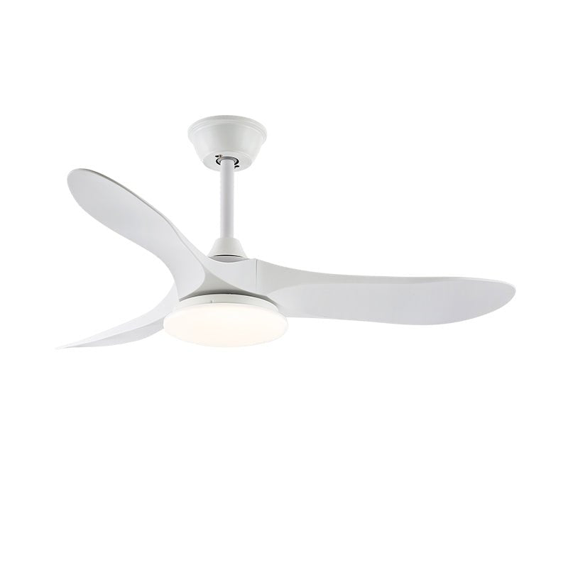 Averra Ceiling Fan Light