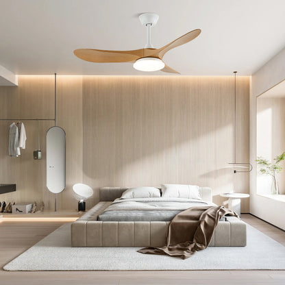 Averra Ceiling Fan Light