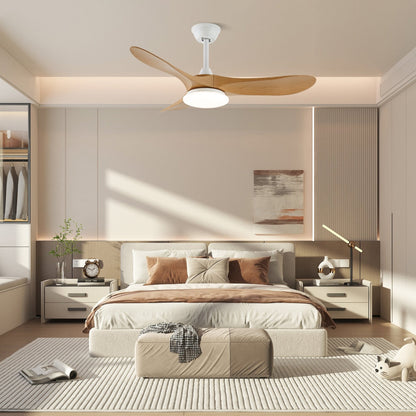Averra Ceiling Fan Light