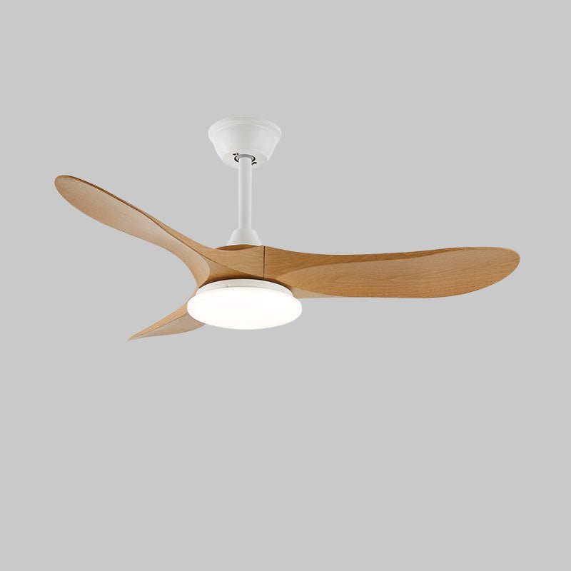 Averra Ceiling Fan Light