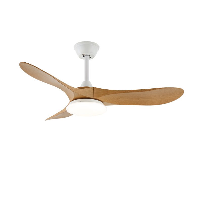Averra Ceiling Fan Light