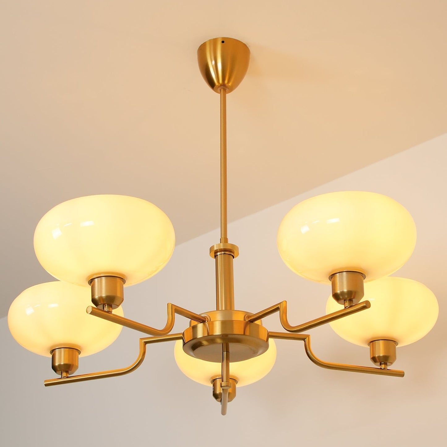 Modern Multi Arm Glass Chandelier Light