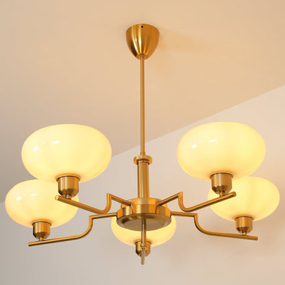 Modern Multi Arm Glass Chandelier Light