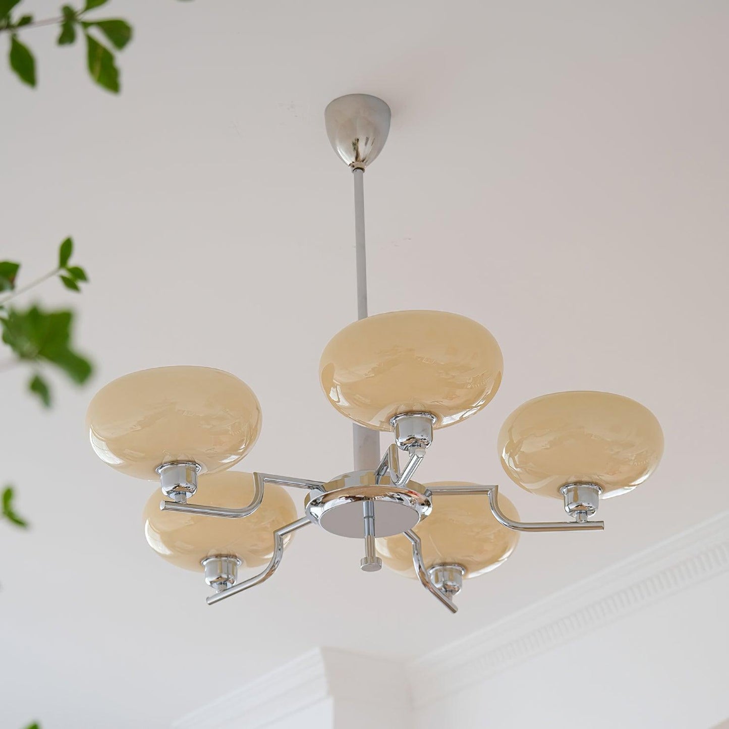 Modern Multi Arm Glass Chandelier Light