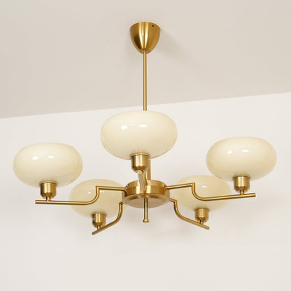 Modern Multi Arm Glass Chandelier Light
