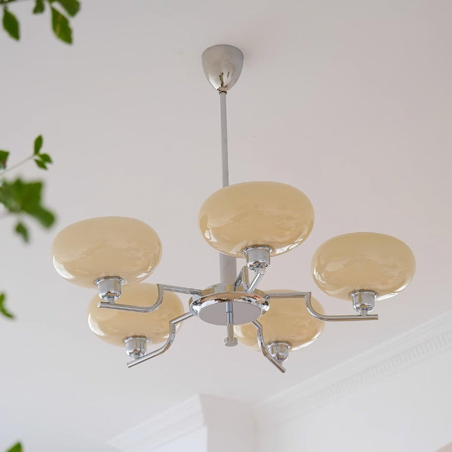 Modern Multi Arm Glass Chandelier Light