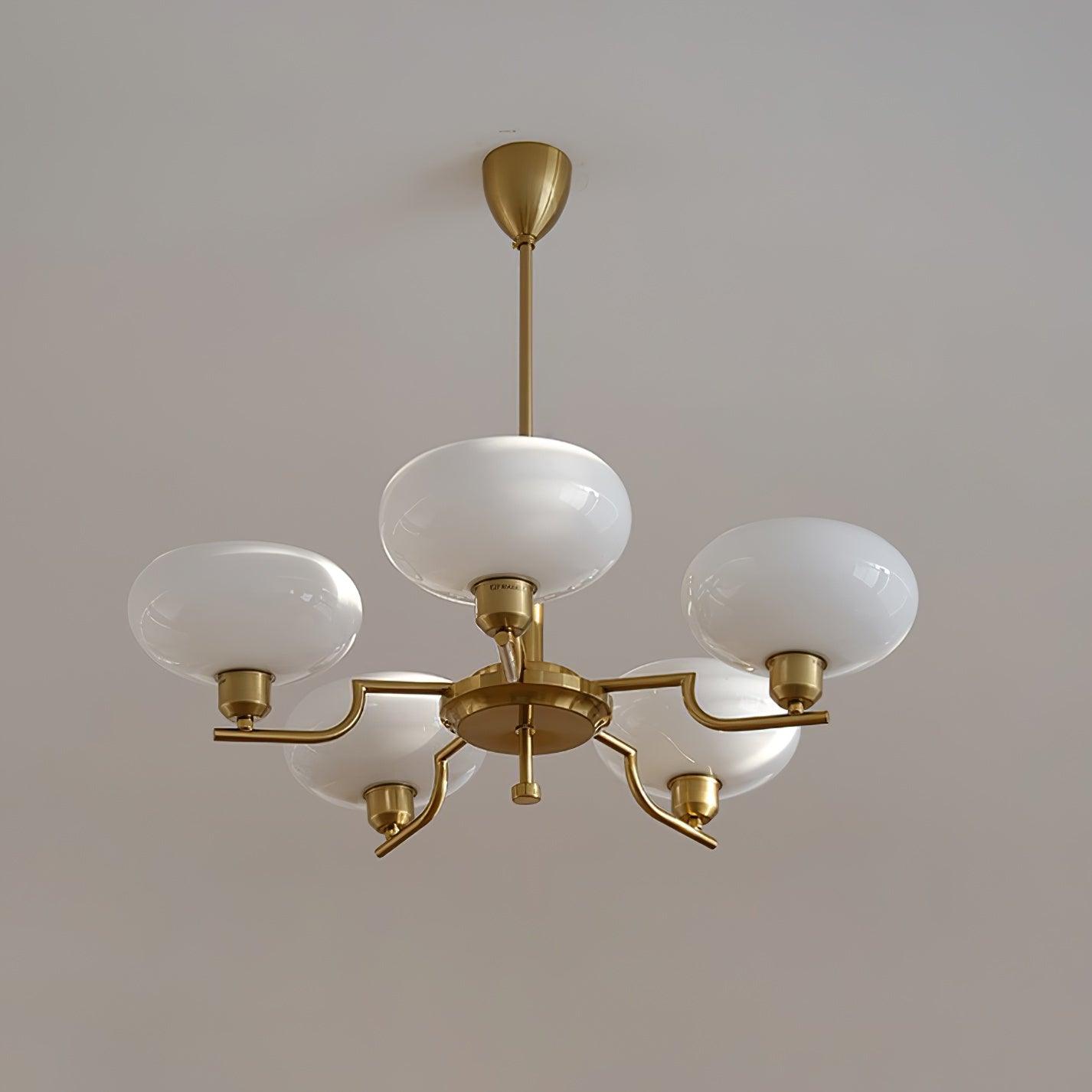 Modern Multi Arm Glass Chandelier Light