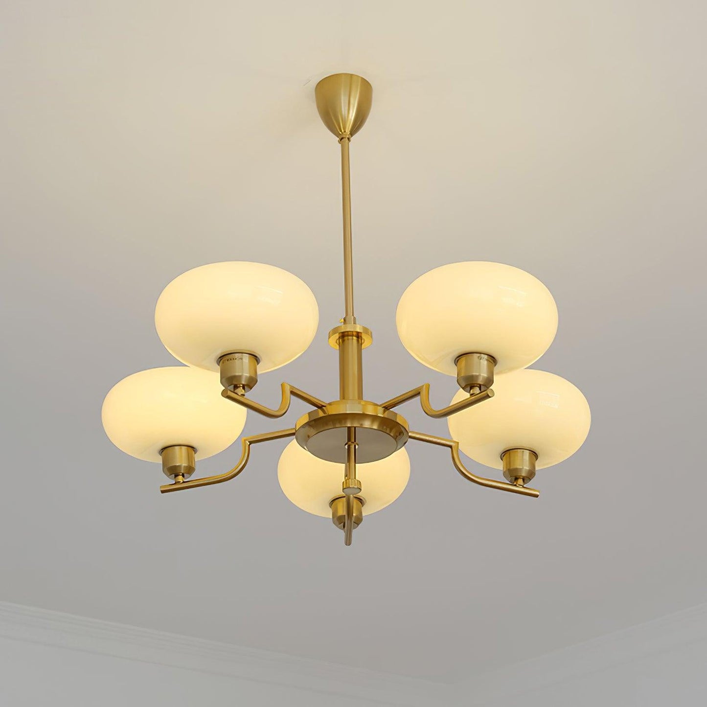 Modern Multi Arm Glass Chandelier Light