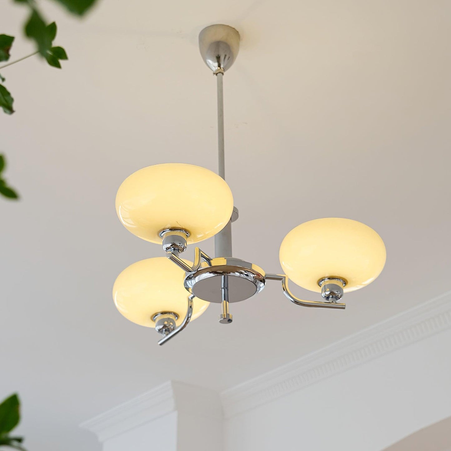 Modern Multi Arm Glass Chandelier Light