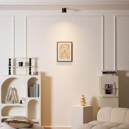 Aero Ceiling Spotlight