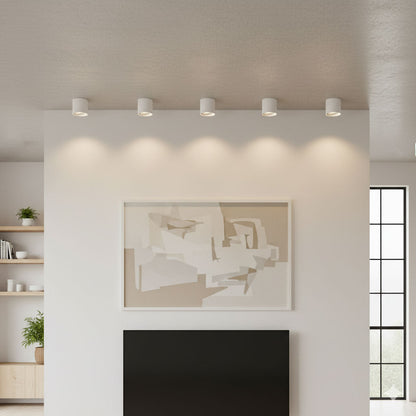 Aero Ceiling Spotlight