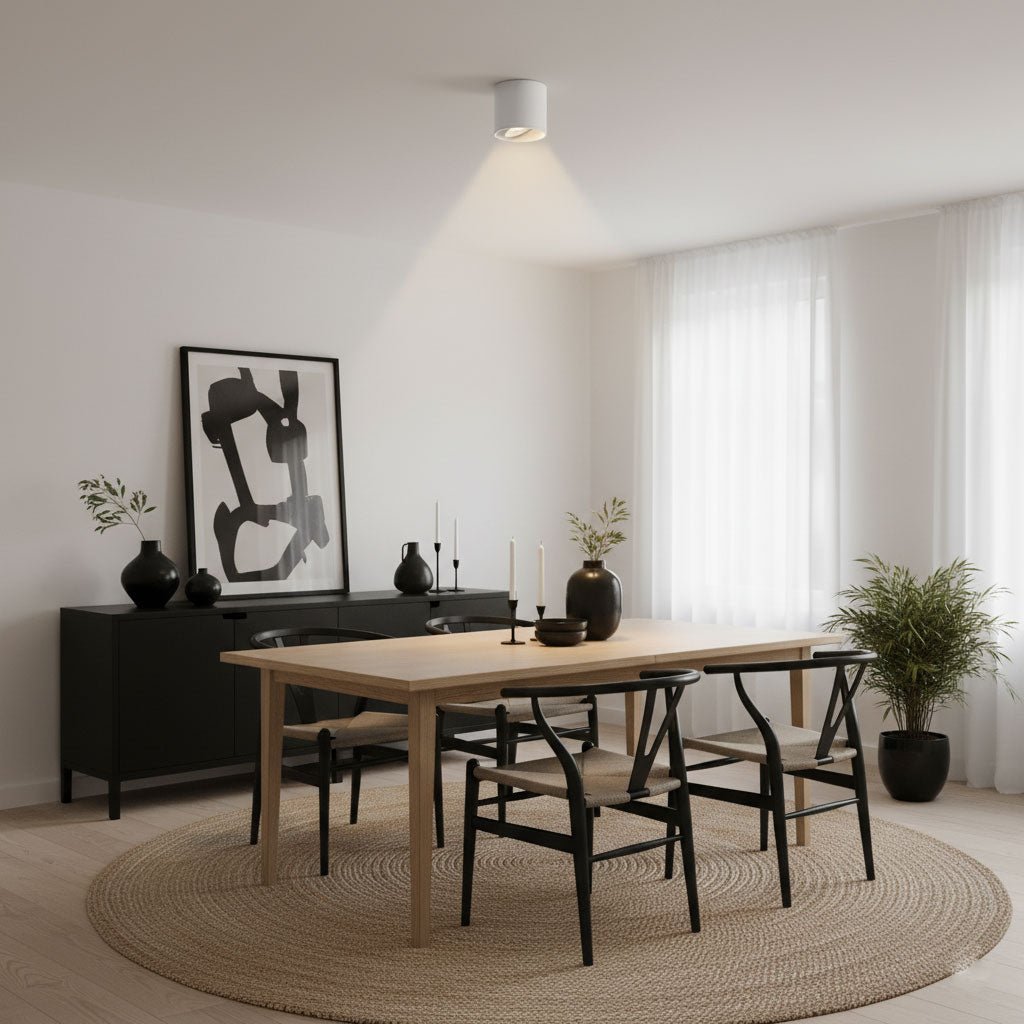 Aero Ceiling Spotlight
