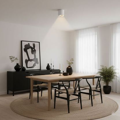 Aero Ceiling Spotlight