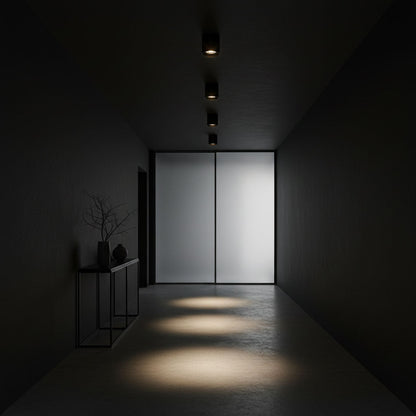 Aero Ceiling Spotlight