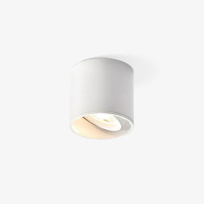 Aero Ceiling Spotlight