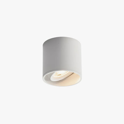 Aero Ceiling Spotlight