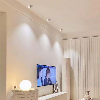 Aero Ceiling Spotlight