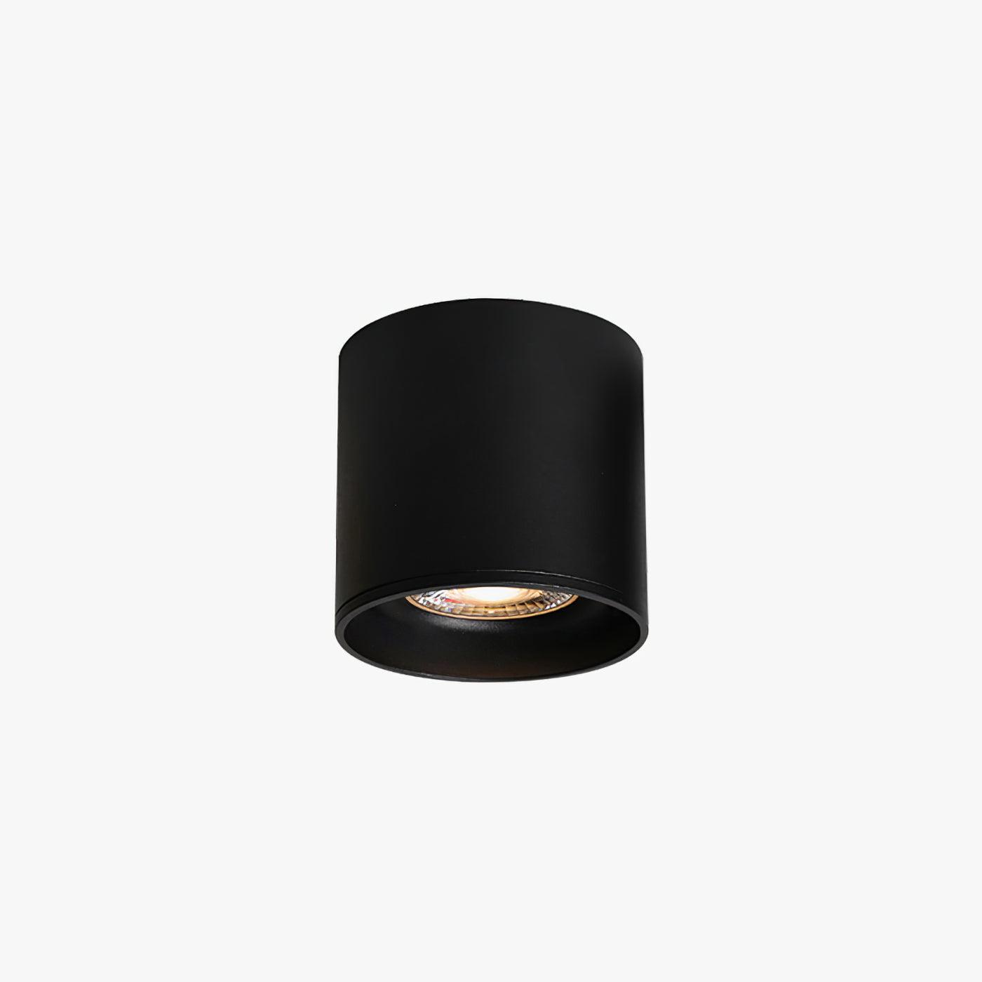 Aero Ceiling Spotlight