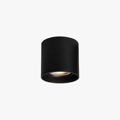 Aero Ceiling Spotlight
