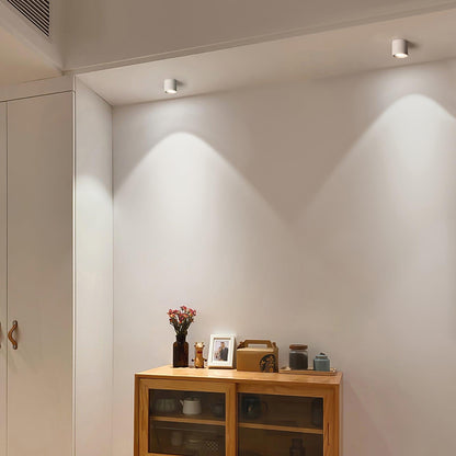 Aero Ceiling Spotlight