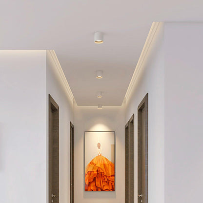 Aero Ceiling Spotlight