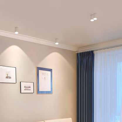 Aero Ceiling Spotlight