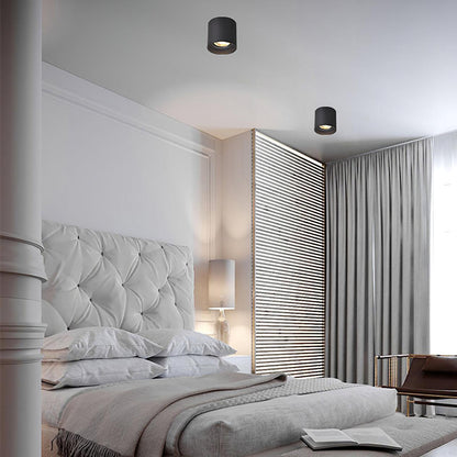 Aero Ceiling Spotlight