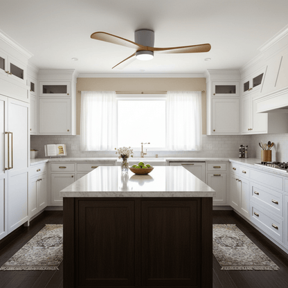 Arden Ceiling Fan Light