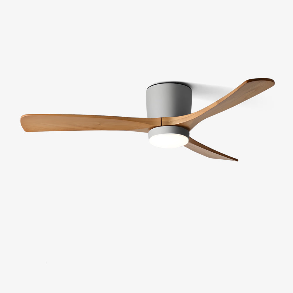 Arden Ceiling Fan Light