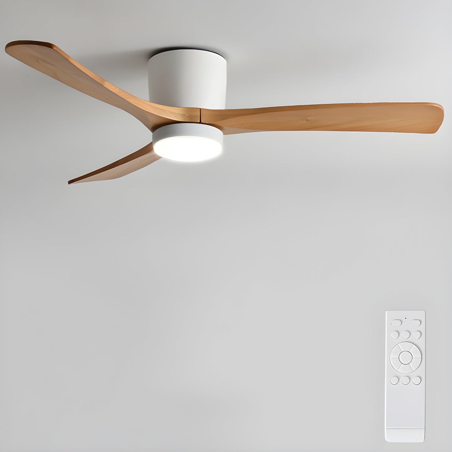 Arden Ceiling Fan Light