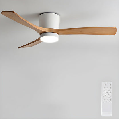 Arden Ceiling Fan Light
