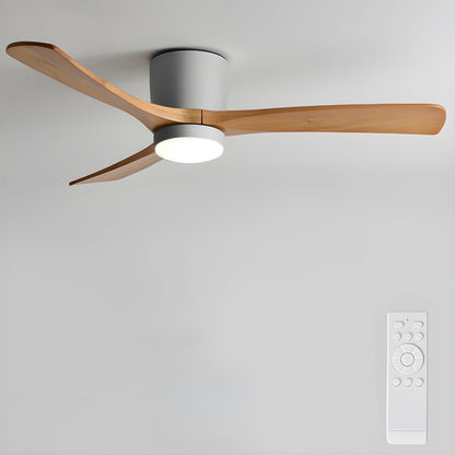 Arden Ceiling Fan Light