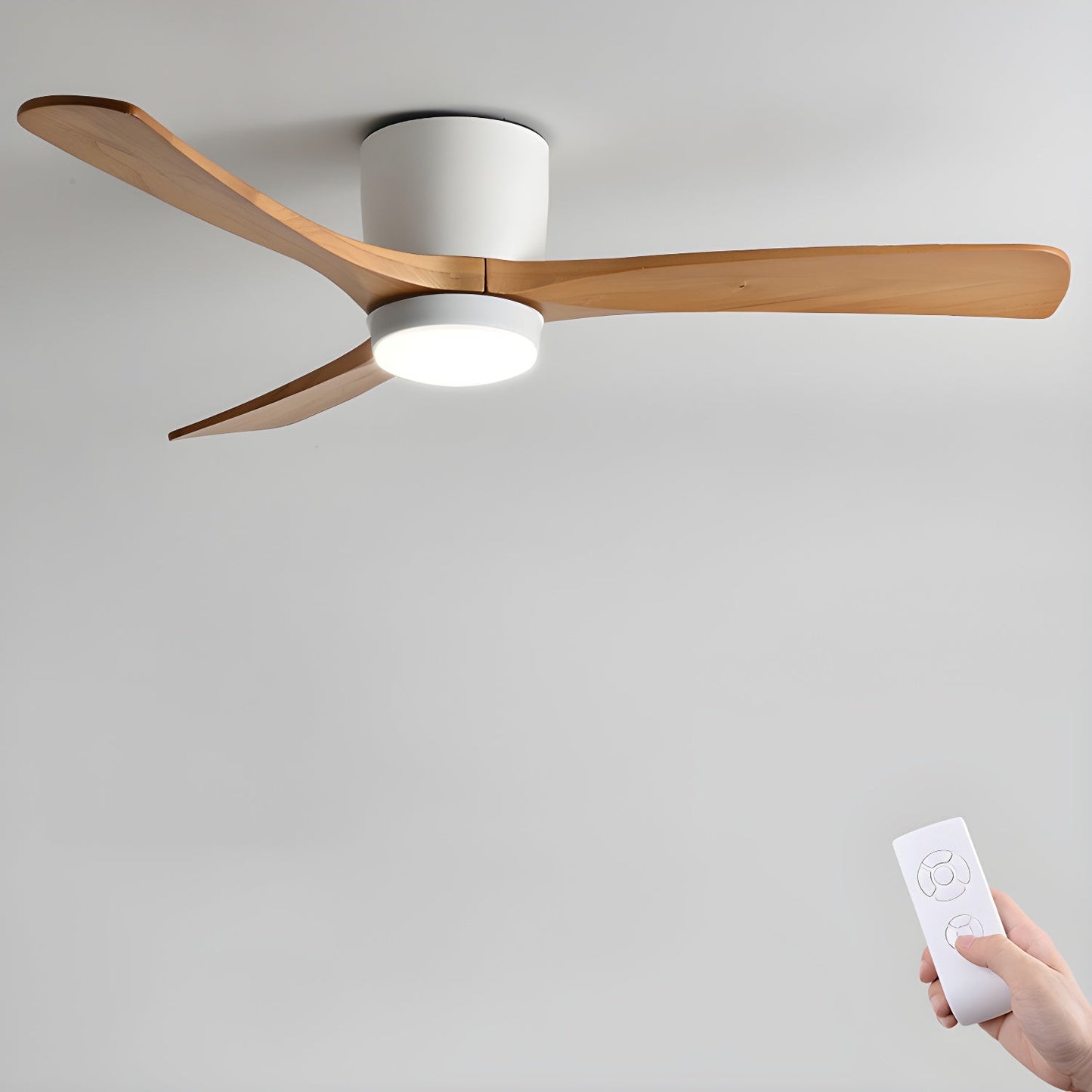 Arden Ceiling Fan Light