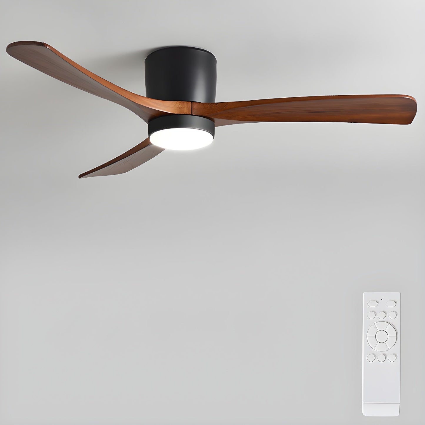 Arden Ceiling Fan Light