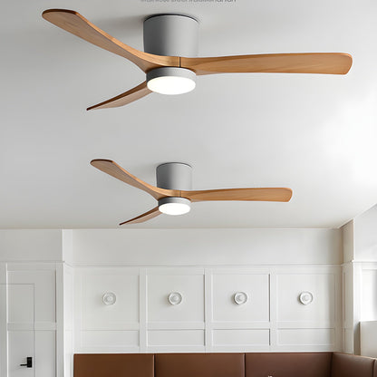Arden Ceiling Fan Light