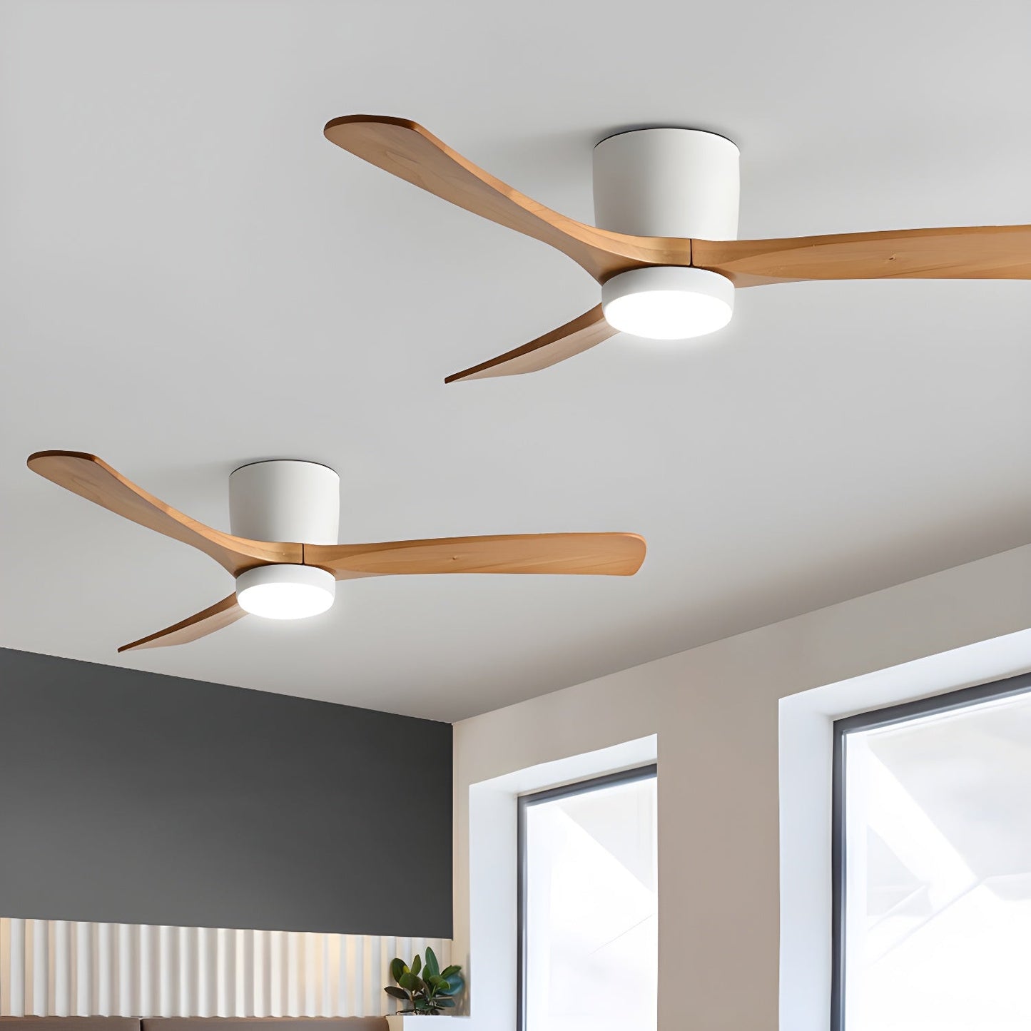 Arden Ceiling Fan Light