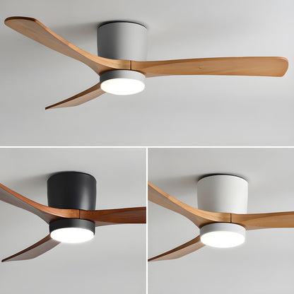 Arden Ceiling Fan Light