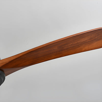 Arden Ceiling Fan Light