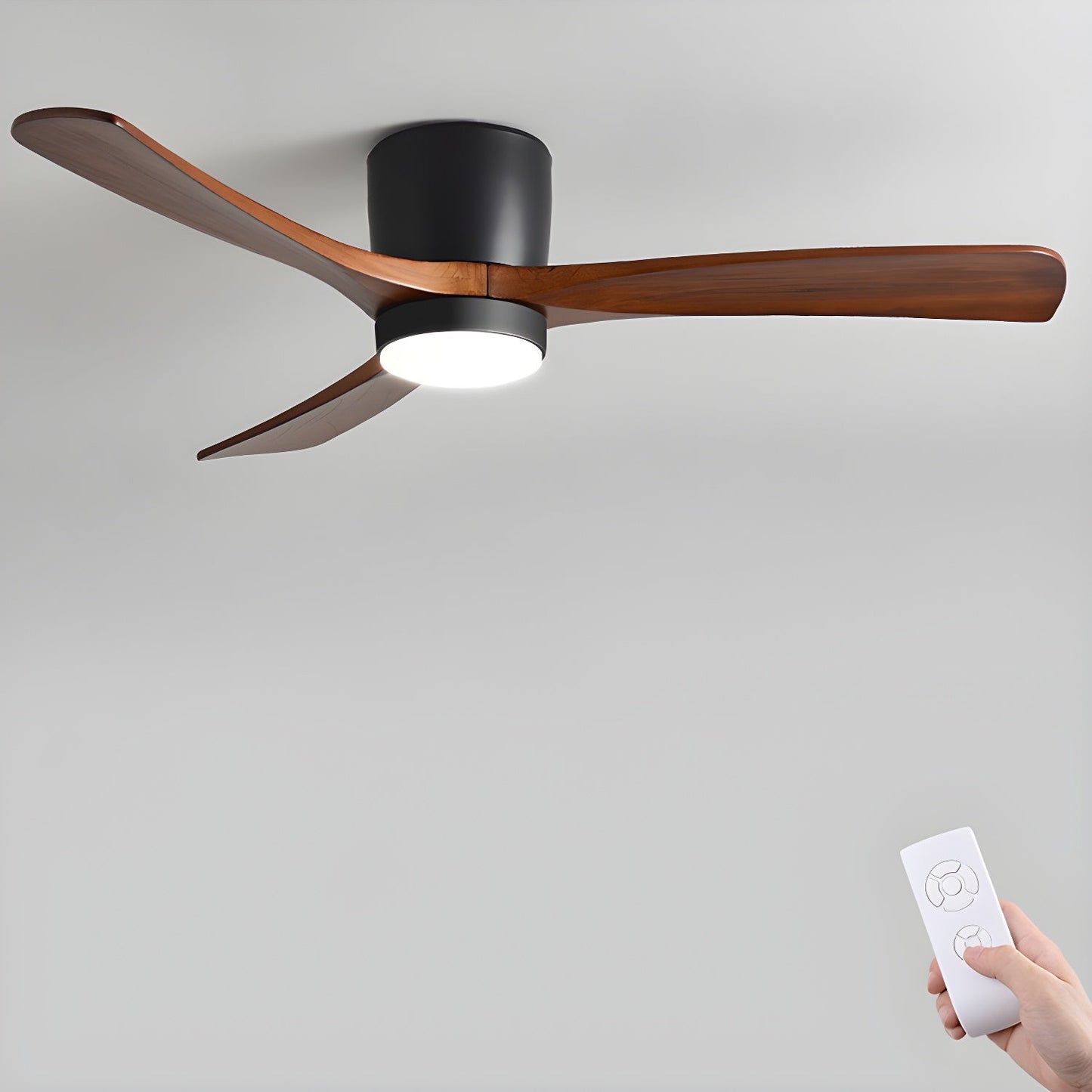 Arden Ceiling Fan Light