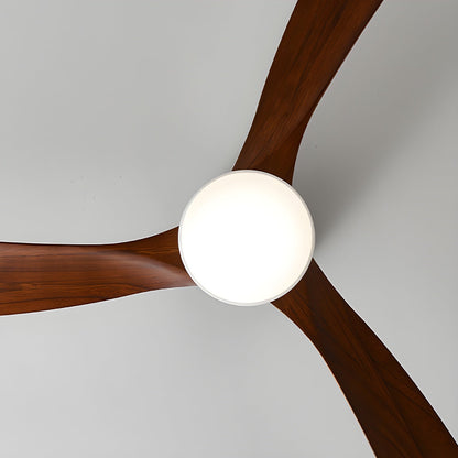 Arden Ceiling Fan Light